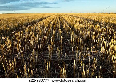 Stover, Toledo province, Castilla-La Mancha, Spain View Large Photo Image Stock Photo - Stover, Toledo province, Castilla-La Mancha, Spain. Fotosearch
