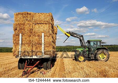 Straw bales in a field and tractor View Large Photo Image Picture - Straw bales in a field and tractor. Fotosearch
