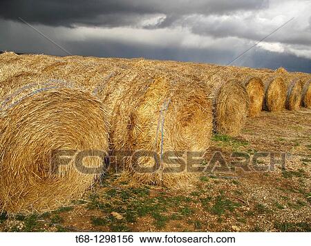 Straw bales, Teruel province, Aragon, Spain View Large Photo Image Stock Photograph - Straw bales, Teruel province, Aragon, Spain. Fotosearch