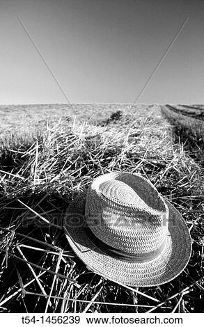 Straw hat on a harvested grain field View Large Photo Image Stock Photo - Straw hat on a harvested grain field. Fotosearch