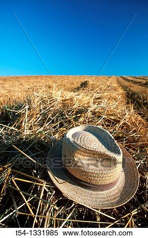 Straw hat on a harvested grain field View Large Photo Image Stock Photography - Straw hat on a harvested grain field. Fotosearch