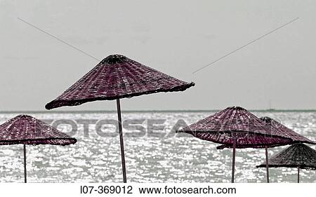 Straw parasols on the beach.? irali. Turkey View Large Photo Image Stock Image - Straw parasols on the beach.? irali. Turkey. Fotosearch