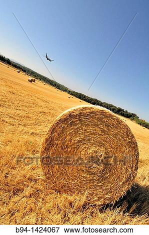 Straw rolls and plane, Vilob? d? Onyar, near Girona-Costa Brava Airport, Girona province, Catalonia, Spain View Large Photo Image Stock Photo - Straw rolls and plane, Vilob? d? Onyar, near Girona-Costa Brava Airport, Girona province, Catalonia, Spain. Fotosearch