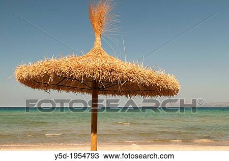 Straw sunshade at Playa Muro, Alcudia region, Mallorca, Balearic Islands, Spain, Europe View Large Photo Image Stock Image - Straw sunshade at Playa Muro, Alcudia region, Mallorca, Balearic Islands, Spain, Europe. Fotosearch