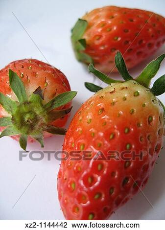 Strawberries on white background View Large Photo Image Stock Image - Strawberries on white background. Fotosearch