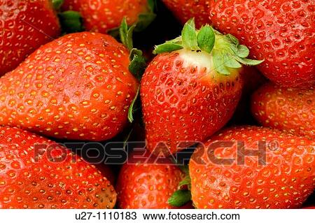 Strawberries View Large Photo Image Stock Image - Strawberries. Fotosearch