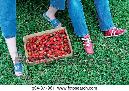 Stock Image - Strawberry basket and legs. Fotosearch
