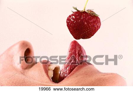 Strawberry View Large Photo Image Stock Photograph - Strawberry. Fotosearch
