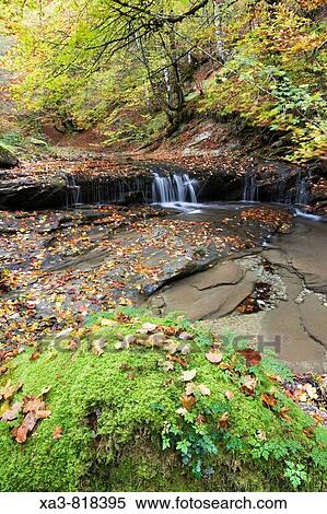 Stream at autumn, Selva de Irati forest, Navarra, Pyrenees, Spain View Large Photo Image Stock Photography - Stream at autumn, Selva de Irati forest, Navarra, Pyrenees, Spain. Fotosearch