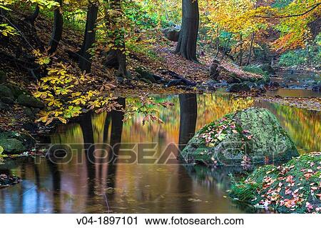 Stream, forest and fallen leaves in autumn, Harz, Germany, Europe View Large Photo Image Stock Image - Stream, forest and fallen leaves in autumn, Harz, Germany, Europe. Fotosearch