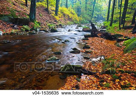 Stream, forest and fallen leaves in autumn, Harz, Germany, Europe View Large Photo Image Stock Photography - Stream, forest and fallen leaves in autumn, Harz, Germany, Europe. Fotosearch