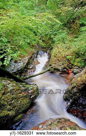 Stream View Large Photo Image Stock Image - Stream. Fotosearch