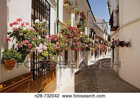 Street in the Villa district, Priego de Cordoba. Cordoba province, Andalucia, Spain View Large Photo Image Stock Image - Street in the Villa district, Priego de Cordoba. Cordoba province, Andalucia, Spain. Fotosearch
