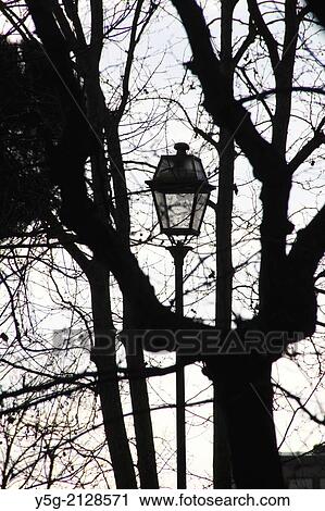 street light lamp and bare tree branches and dark sky clouds View Large Photo Image Stock Image - street light lamp and bare tree branches and dark sky clouds. Fotosearch