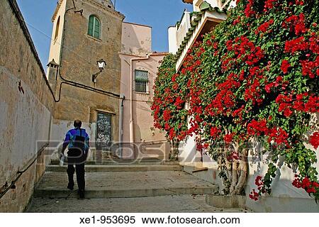 Stock Photography - Street with a floral decoration, Masnou, Catalonia, Spain.. Fotosearch
