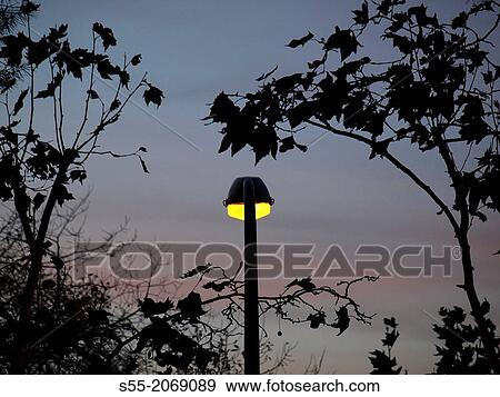 Streetlight, Barcelona, Spain. View Large Photo Image Stock Photo - Streetlight, Barcelona, Spain.. Fotosearch