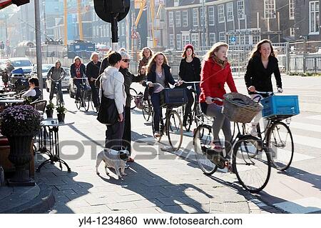 Streetscene, Amsterdam, Netherlands View Large Photo Image Stock Image - Streetscene, Amsterdam, Netherlands. Fotosearch
