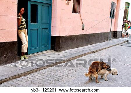 Streetscene, Old Havana, Cuba View Large Photo Image Stock Image - Streetscene, Old Havana, Cuba. Fotosearch