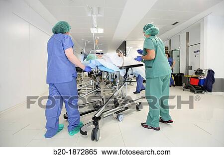 Stretcher transport, Emergency Surgery, Operating Theatre, Donostia Hospital, San Sebastian, Donostia, Gipuzkoa, Basque Country, Spain View Large Photo Image Stock Photography - Stretcher transport, Emergency Surgery, Operating Theatre, Donostia Hospital, San Sebastian, Donostia, Gipuzkoa, Basque Country, Spain. Fotosearch