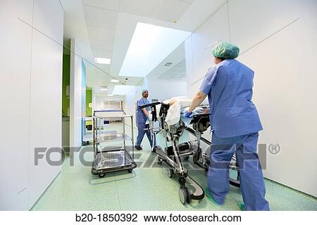 Stretchers transport, Emergency Operating Theaters, Donostia Hospital, San Sebastian, Donostia, Gipuzkoa, Basque Country, Spain View Large Photo Image Stock Image - Stretchers transport, Emergency Operating Theaters, Donostia Hospital, San Sebastian, Donostia, Gipuzkoa, Basque Country, Spain. Fotosearch
