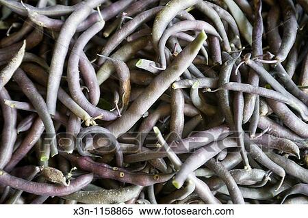 String beans View Large Photo Image Stock Photography - String beans. Fotosearch