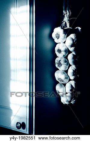 Stock Image - String of garlic hanging on kitchen cabinet.. Fotosearch