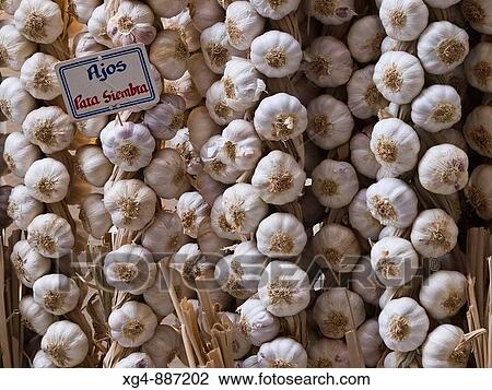 Strings of garlic seed for sale at a job to the old market of Logroo - La Rioja - Spain View Large Photo Image Stock Image - Strings of garlic seed for sale at a job to the old market of Logroo - La Rioja - Spain. Fotosearch