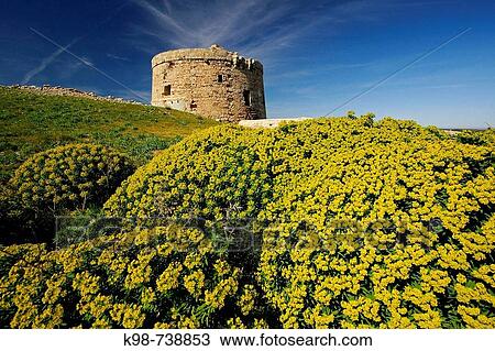 Stuart tower (aka Torre d? en Penjat, 18th century) guarding the entrance to the port of Mao on Sant Esteve cove, Mao. Minorca, Balearic Islands, Spain View Large Photo Image Stock Image - Stuart tower (aka Torre d? en Penjat, 18th century) guarding the entrance to the port of Mao on Sant Esteve cove, Mao. Minorca, Balearic Islands, Spain. Fotosearch