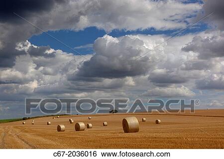 Stubble and Bales after Harvest at Salthouse Norfolk. View Large Photo Image Stock Photograph - Stubble and Bales after Harvest at Salthouse Norfolk.. Fotosearch