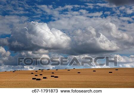 Stock Image - Stubble and Bales after Harvest Norfolk August. Fotosearch