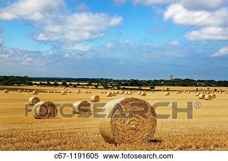 Stock Photography - Stubble and Bales after Harvest Northrepps Norfolk August. Fotosearch