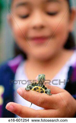 Student holding turtle View Large Photo Image Picture - Student holding turtle. Fotosearch