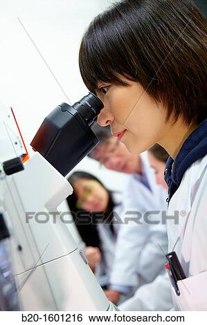 Student. Inverted optical microscope. View Large Photo Image Stock Photograph - Student. Inverted optical microscope.. Fotosearch