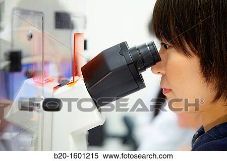 Student. Inverted optical microscope. View Large Photo Image Stock Photography - Student. Inverted optical microscope.. Fotosearch