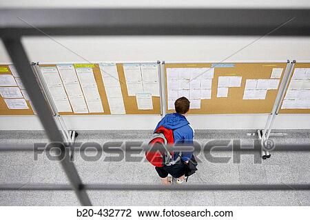 Student looking at notice board. Escuela Universitaria Politecnica, UPV (Universidad del Pais Vasco), Campus de Gipuzkoa. San SebastiBn, Euskadi, Spain View Large Photo Image Stock Image - Student looking at notice board. Escuela Universitaria Politecnica, UPV (Universidad del Pais Vasco), Campus de Gipuzkoa. San SebastiBn, Euskadi, Spain. Fotosearch