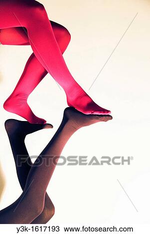 Studio photograph of the legs of two girls with colour pantys, Valencia, Spain View Large Photo Image Stock Image - Studio photograph of the legs of two girls with colour pantys, Valencia, Spain. Fotosearch