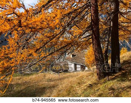 suche, courmayeur, val d? aoste, ITALIE View Large Photo Image Stock Photography - suche, courmayeur, val d? aoste, ITALIE. Fotosearch