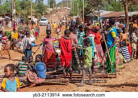 Sugar Cane For Sale, Fasha Market, Konso Region, Ethiopia. View Large Photo Image Picture - Sugar Cane For Sale, Fasha Market, Konso Region, Ethiopia.. Fotosearch