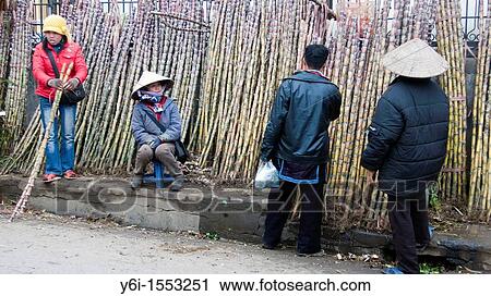 Stock Image - Sugar cane for sale main street Sapa north Vietnam. Fotosearch