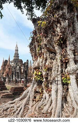 Sukhothai (Thailand): the Wat Mahathat View Large Photo Image Stock Photograph - Sukhothai (Thailand): the Wat Mahathat. Fotosearch