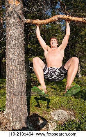 Sumer, Northern Sweden, J? mtland. View Large Photo Image Picture - Sumer, Northern Sweden, J? mtland.. Fotosearch
