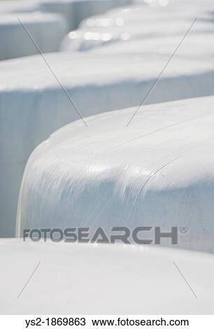 Summer scene with hay bales used for animal fodder View Large Photo Image Stock Image - Summer scene with hay bales used for animal fodder. Fotosearch