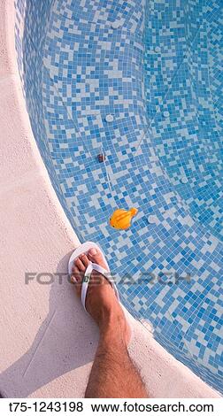 Summer View Large Photo Image Stock Photo - Summer. Fotosearch