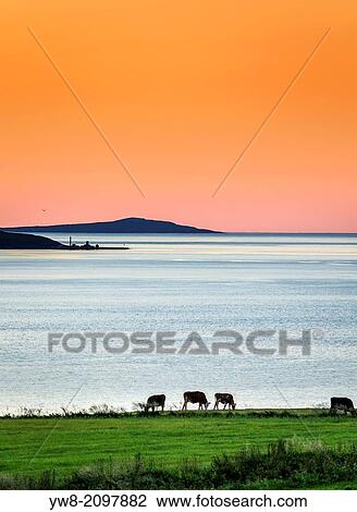 Summertime in Iceland with the midnight sun. View Large Photo Image Stock Image - Summertime in Iceland with the midnight sun.. Fotosearch