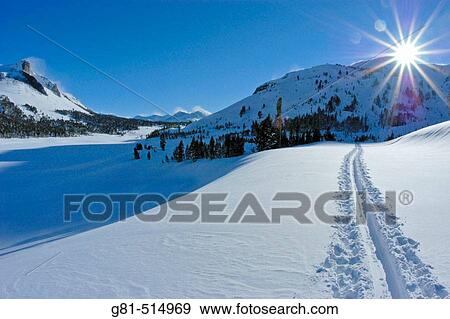 Sun flair over ski tracks on the Tioga Pass road (Highway 120) in winter, Inyo National Forest, Sierra Nevada Mountains, California View Large Photo Image Stock Photo - Sun flair over ski tracks on the Tioga Pass road (Highway 120) in winter, Inyo National Forest, Sierra Nevada Mountains, California. Fotosearch