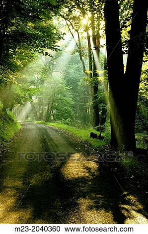 Stock Image - Sunbeams falling on a back road suggest something supernatural just around the bend, New Jersey, USA.. Fotosearch