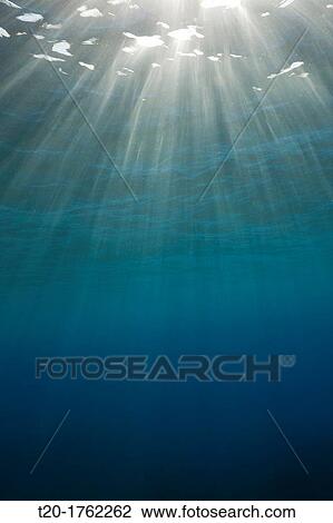 Sunbeams filtering through Water Surface, Caribbean Sea, Dominica View Large Photo Image Stock Image - Sunbeams filtering through Water Surface, Caribbean Sea, Dominica. Fotosearch