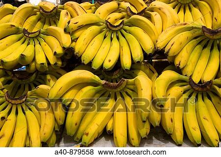Sunday market in Tlacolula town. Banana fruit. Oaxaca, Mexico. View Large Photo Image Stock Photo - Sunday market in Tlacolula town. Banana fruit. Oaxaca, Mexico.. Fotosearch