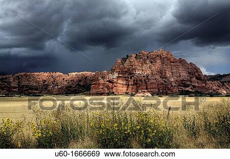 Stock Photo - Sunflowers and a fence line the Kolob Terrace Road during a rainstorm at Zion National Park, Utah. Fotosearch