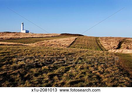 Sunlit Grass and Flamborough Head Lighthouse East Riding of Yorkshire England. View Large Photo Image Stock Image - Sunlit Grass and Flamborough Head Lighthouse East Riding of Yorkshire England.. Fotosearch